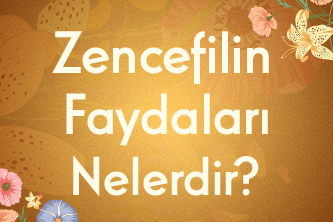 Zencefilin Faydaları Nelerdir?