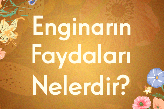 Enginarın Faydaları Nelerdir?