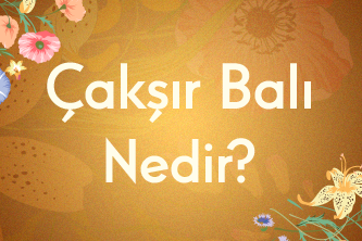 Çakşır Balı Nedir?