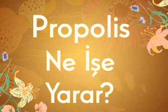 Propolis Ne İşe Yarar?