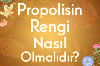 Propolisin Rengi Nasıl Olmalıdır?