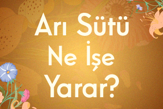 Arı Sütü Ne İşe Yarar?