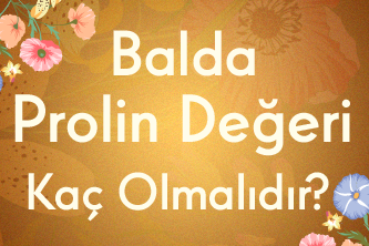 Balda Prolin Değeri Kaç Olmalıdır?