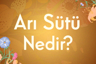 Arı Sütü Nedir?