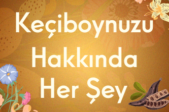 Keçiboynuzu Hakkında Her Şey