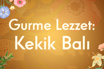 Gurme Lezzet: Kekik Balı