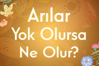 Arılar Yok Olursa Ne Olur?