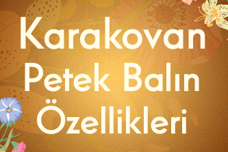 Karakovan Petek Balın Özellikleri