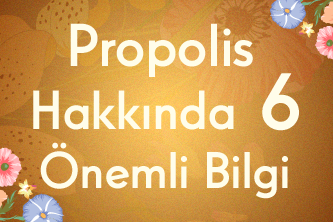 Propolis Hakkında 6 Önemli Bilgi