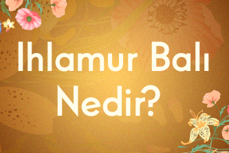 Ihlamur Balı Nedir?