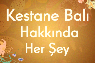 Kestane Balı Hakkında Her Şey