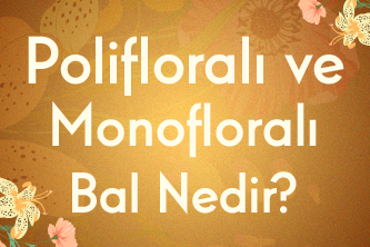 Polifloralı Bal ve Monofloralı Bal Nedir?