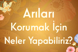 Arıları Korumak İçin Neler Yapabiliriz?