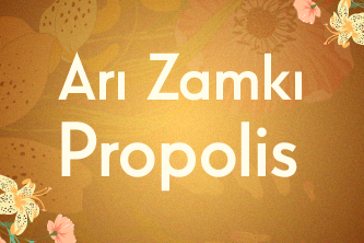 Arı Zamkı: Propolis