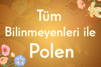 Tüm Bilinmeyenleri ile Polen