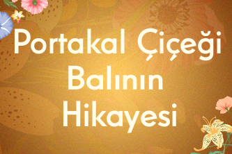 Portakal Çiçeği Balının Hikayesi