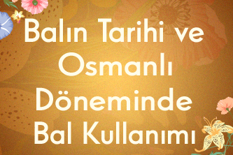 Balın Tarihi ve Osmanlı Döneminde Bal Kullanımı