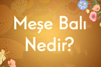 Meşe Balı Nedir?