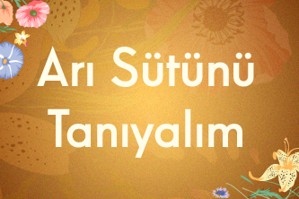 Arı Sütünü Tanıyalım