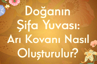 Doğanın Şifa Yuvası: Arı Kovanı Nasıl Oluşturulur?