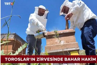 TRT 1 - Zengin Bitki Örtüsüyle Tercih Ediliyor 22.06.2026