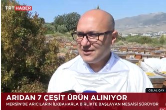TRT HABER - Arıdan 7 Çeşit Ürün Alınıyor 22.04.2025