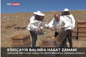 TRT Haber - Eğriçayır Balında Hasat Zamanı 27.08.2022