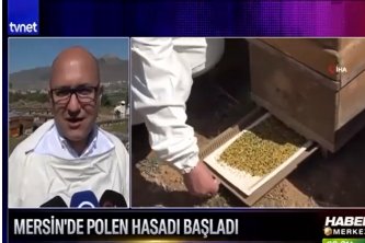 TVNET - Sarı Altın'ın Faydası Saymakla Bitmiyor 21.04.2025