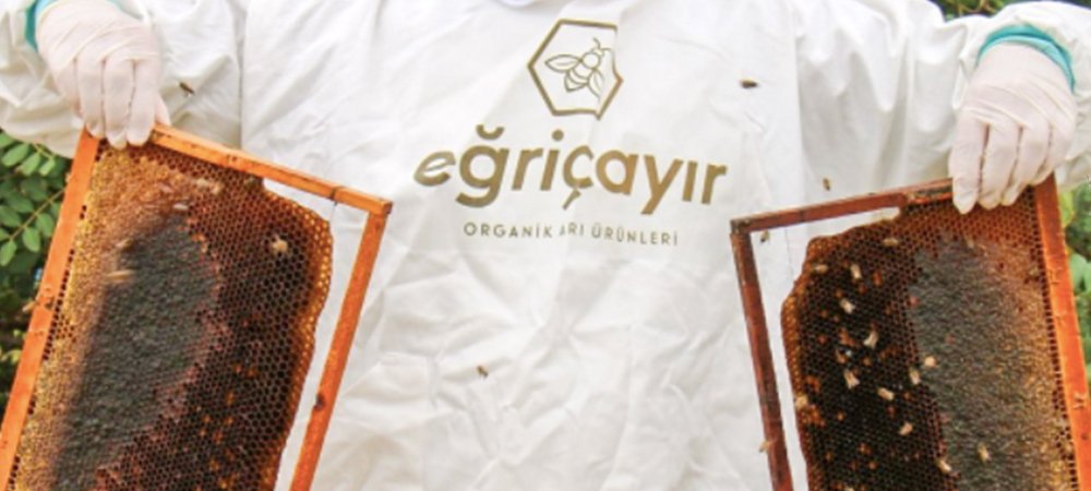 Balın Kalorisi Nedir? Bal Ne Kadar Enerji Verir?