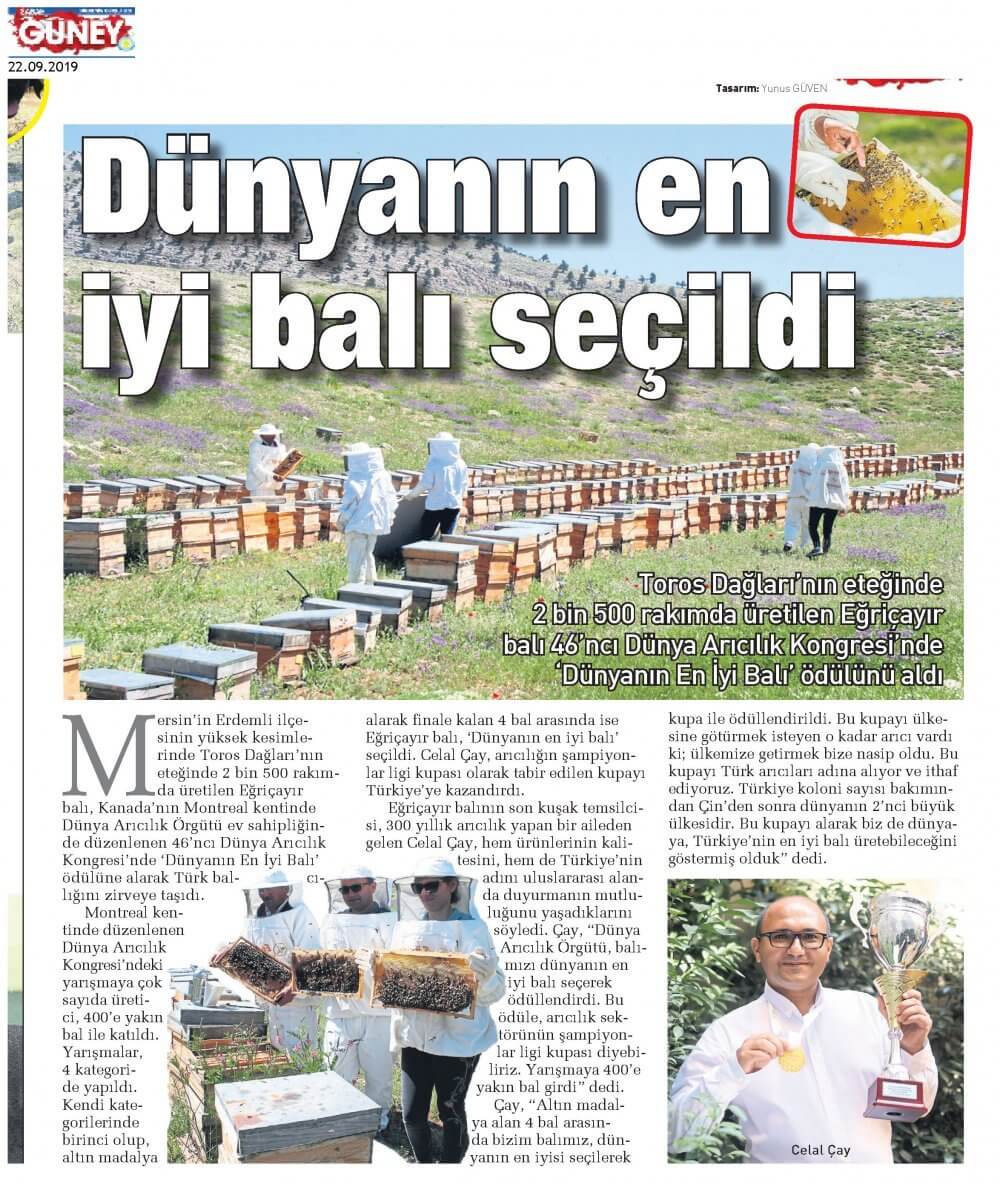 Sabah Güney<br><span>22.09.2019</span>