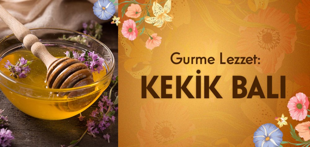 Gurme Lezzet: Kekik Balı
