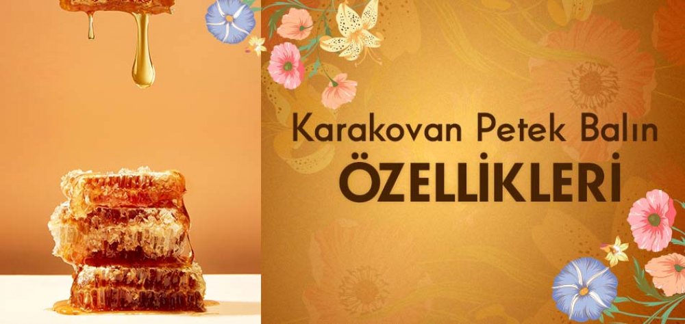 Karakovan Petek Balın Özellikleri