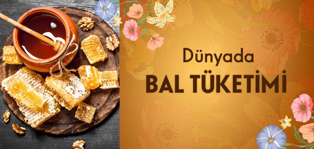 Dünyada Bal Tüketimi