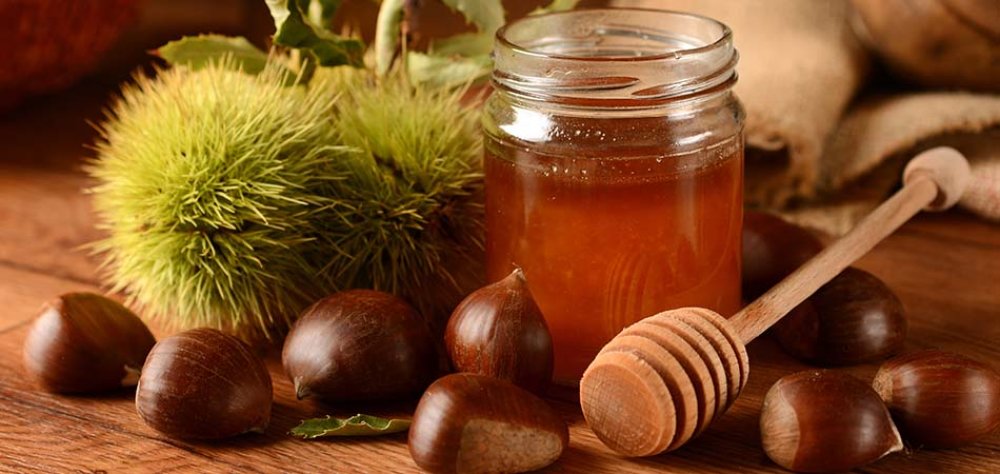 Kestane Balı Nasıl Üretilir?