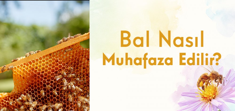Bal Nasıl Muhafaza Edilir?