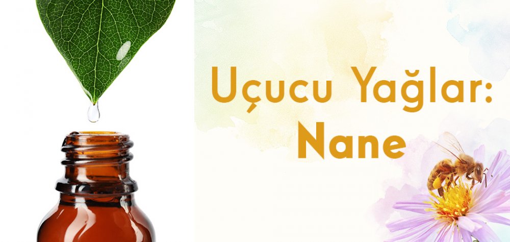 Uçucu Yağlar: Nane