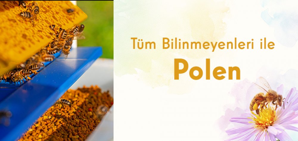 Tüm Bilinmeyenleri ile Polen
