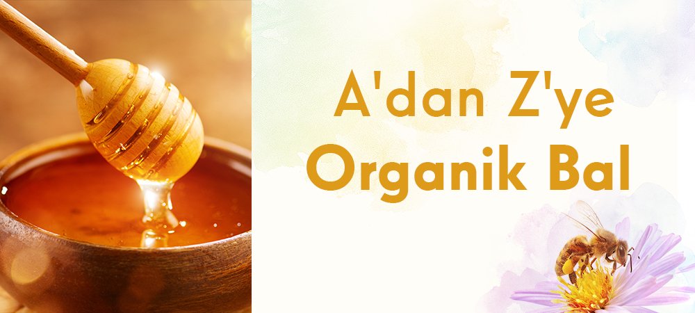 A’dan Z’ye Organik Bal