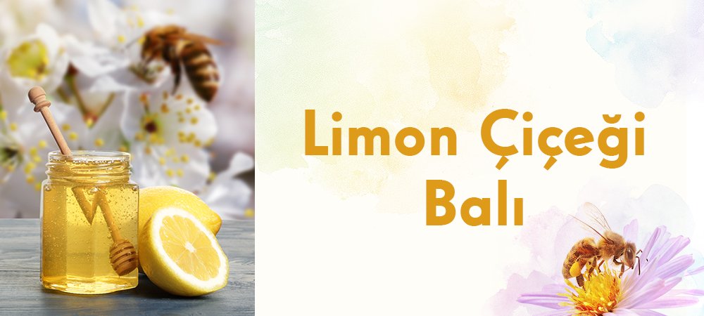 Limon Çiçeği Balı Hakkında Her Şey