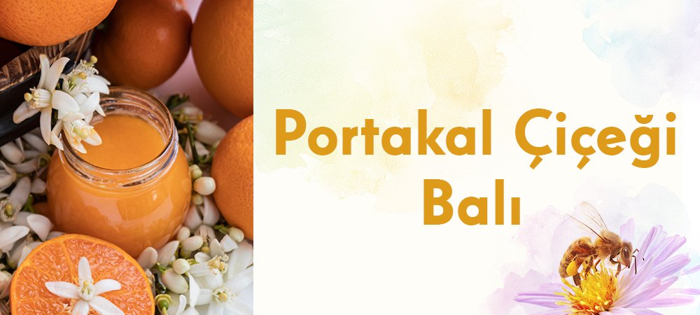 Portakal Çiçeği Balının Hikayesi