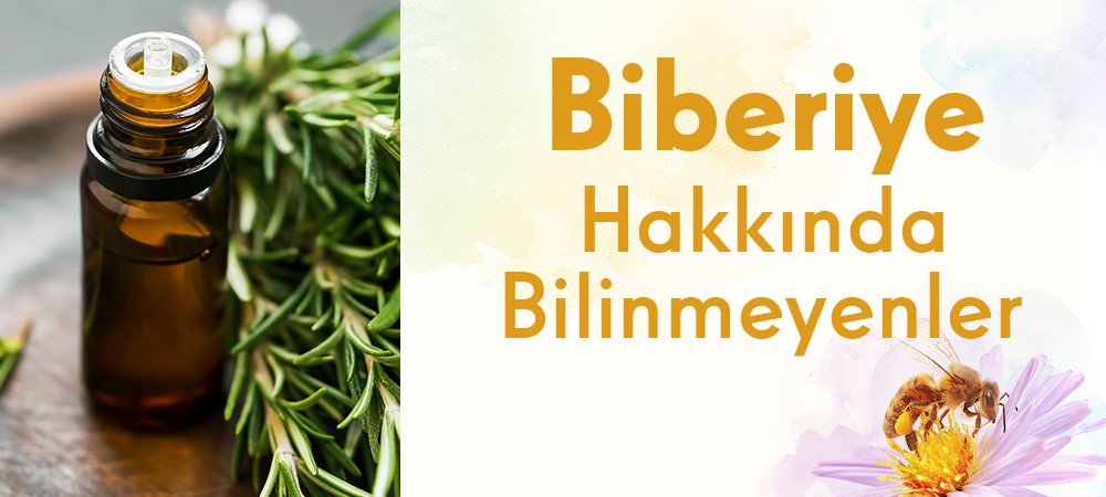Biberiye Yağı Hakkında Bilinmeyenler