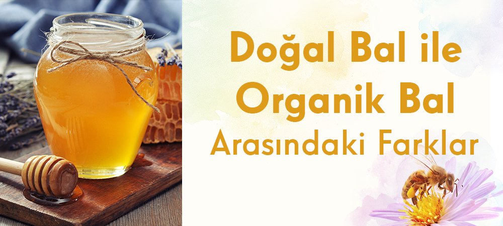 Doğal Bal ile Organik Bal Arasındaki Farklar Nedir?