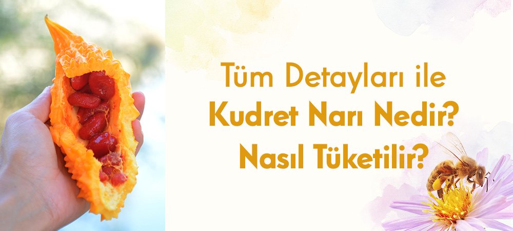 Tüm Detayları ile Kudret Narı Nedir? Nasıl Tüketilir?