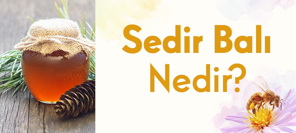 Sedir Balı Nedir?