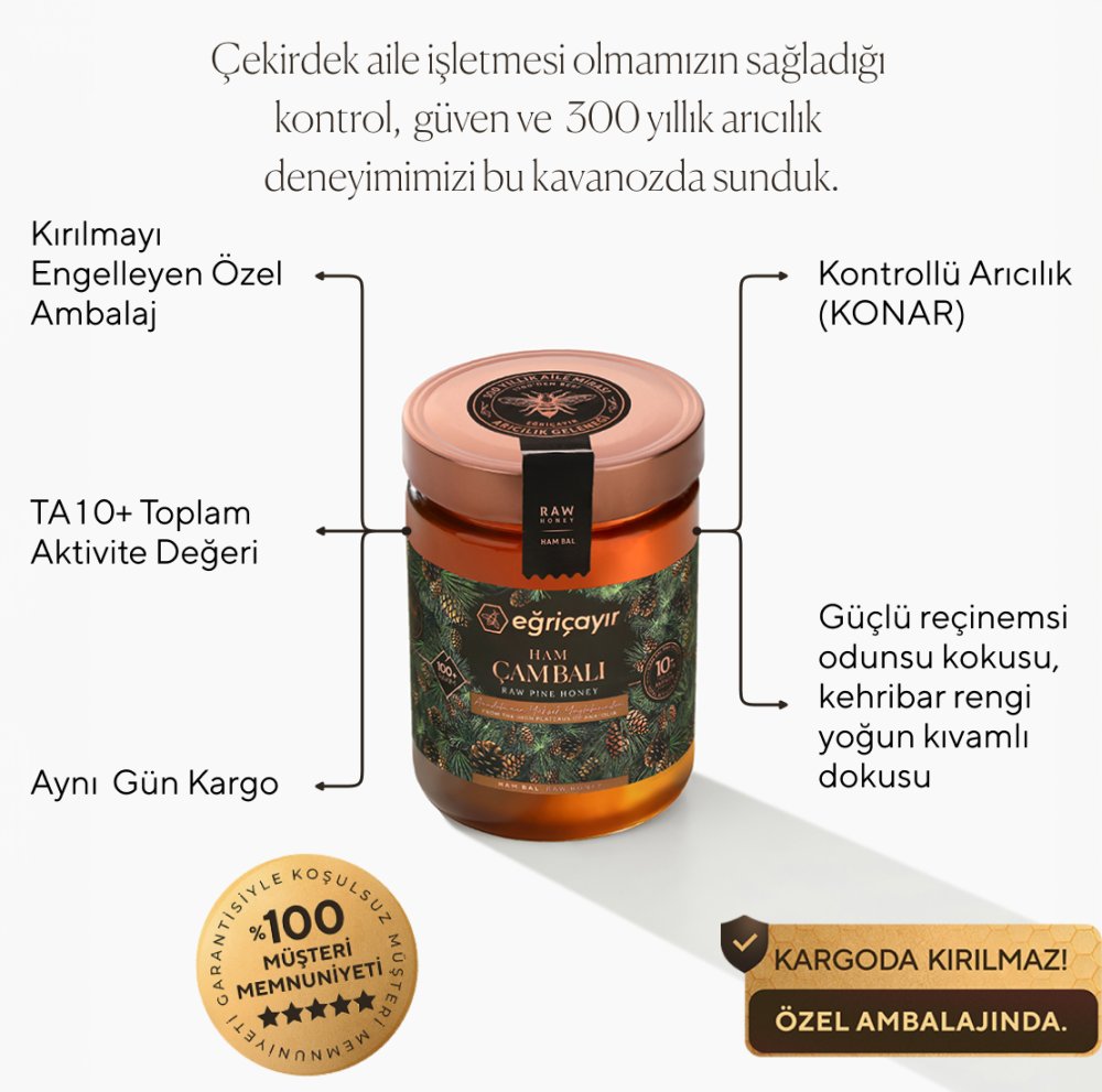 Ham Çam Balı TA10+