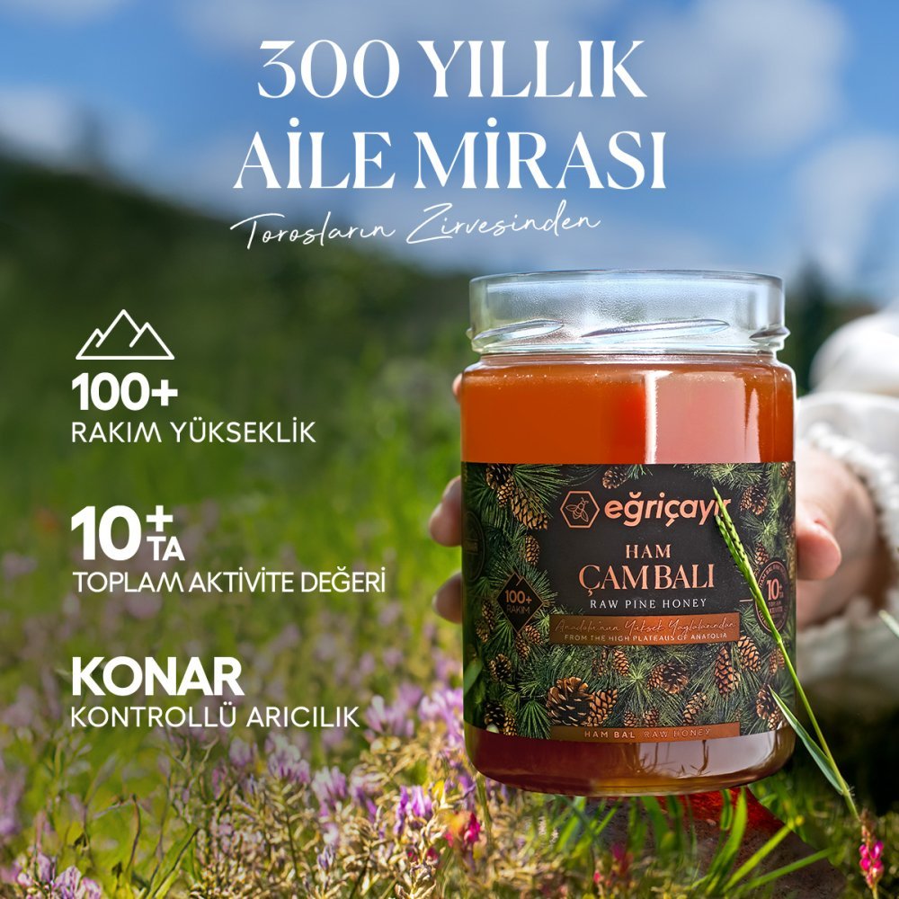 Ham Çiçek Balı + Ham Çam Balı TA 10+
