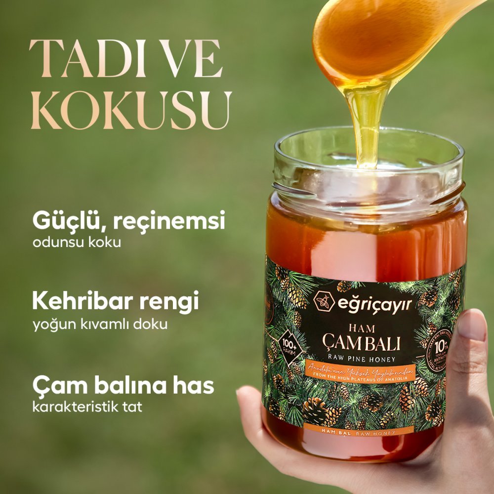 Ham Çiçek Balı + Ham Çam Balı TA 10+
