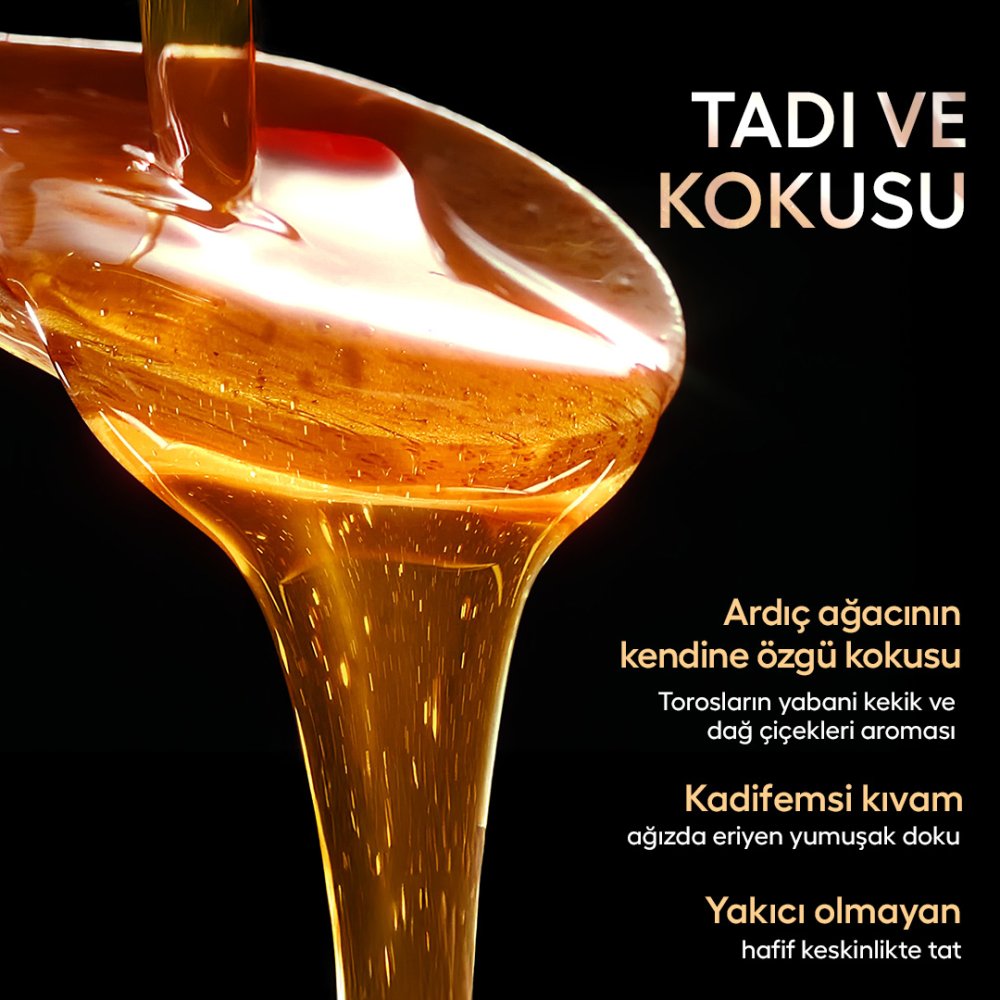 Nadir Son Güz Hasatı Organik Çiçek ve Ardıç Balı TA20+