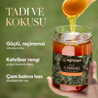 Eğriçayır Ham Çam Balı TA10+