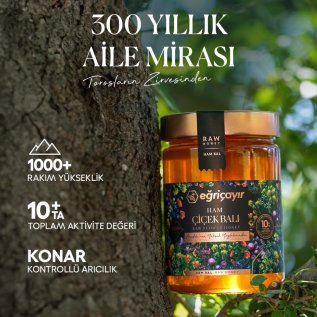 Eğriçayır Ham Çiçek Balı TA10+
